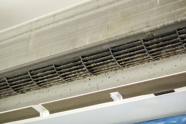 Best Professional Duct Cleaning Services  in Allentown, PA
